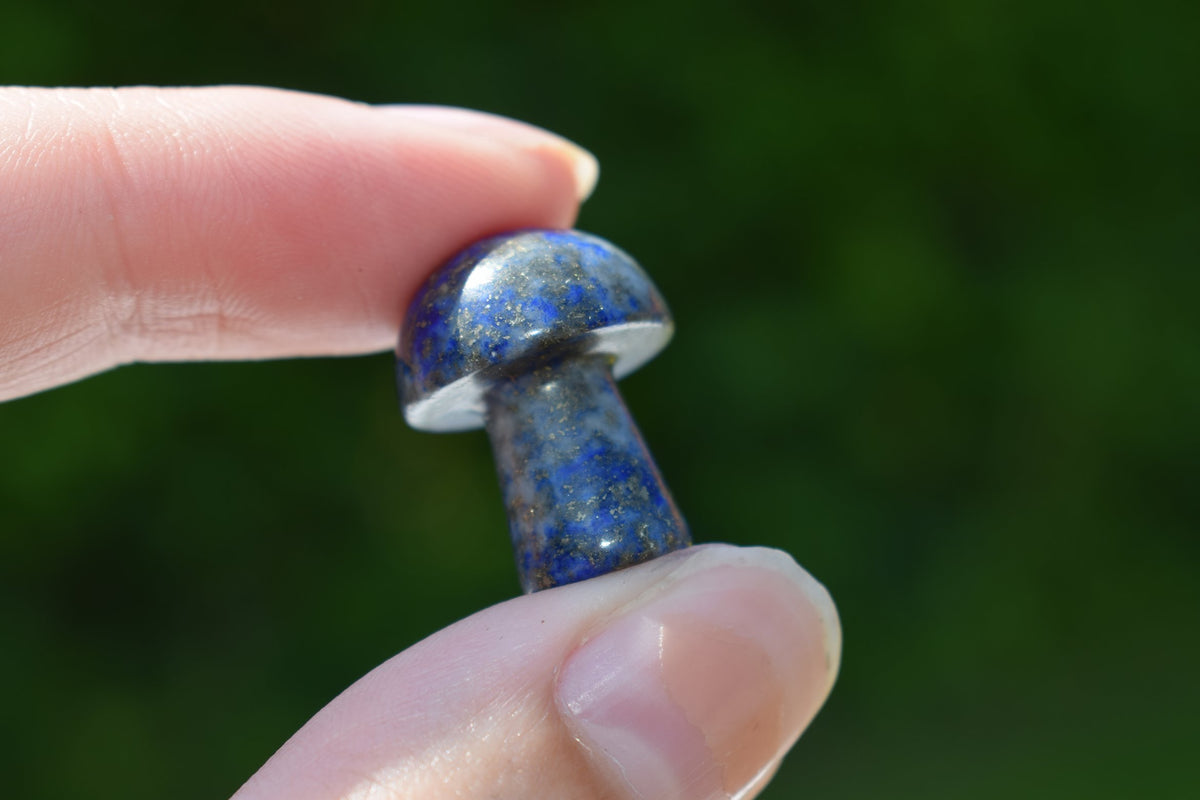 Lapis lazuli figuurtje paddenstoel