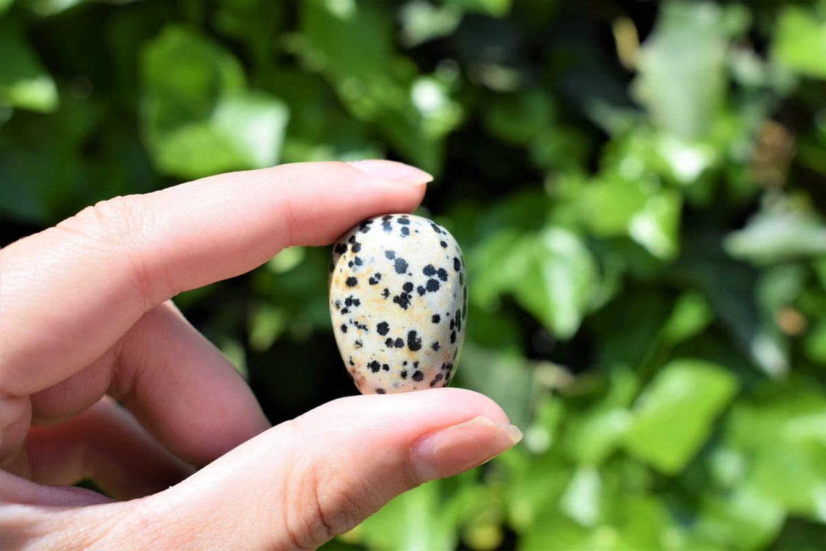 Jaspis dalmatiër trommelsteen