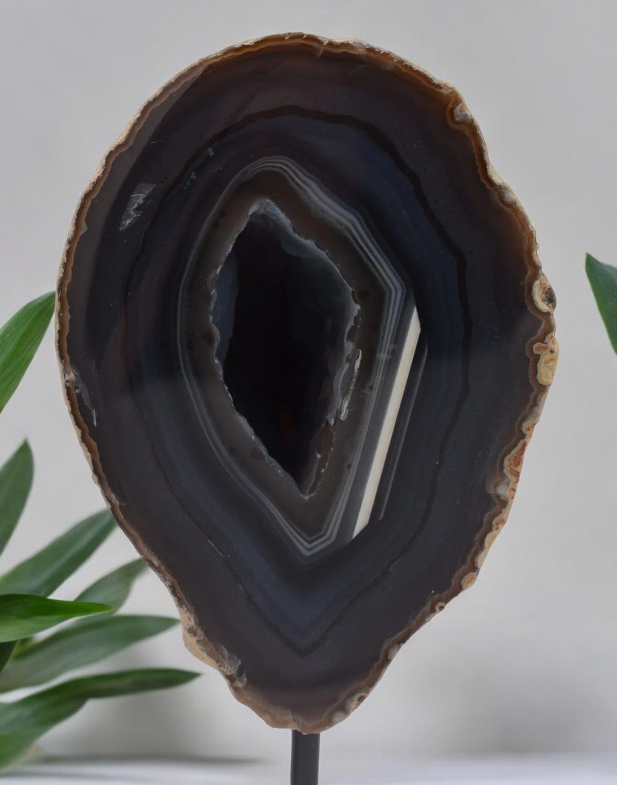 Agaat paartje ( XL)