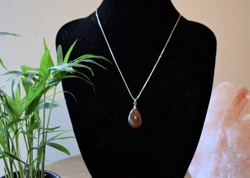 Versteend hout druppel hanger
