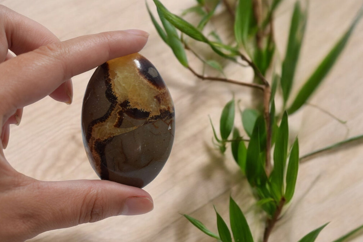 Jumbo Septarie Handsteen