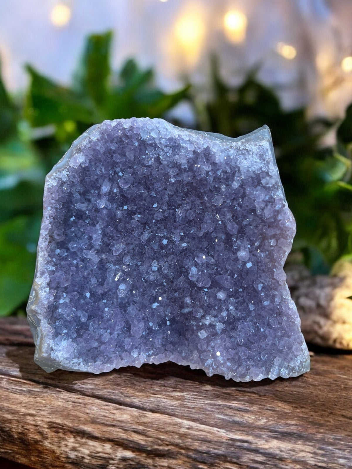 Amethist Cluster op Standvlak – 850 gram