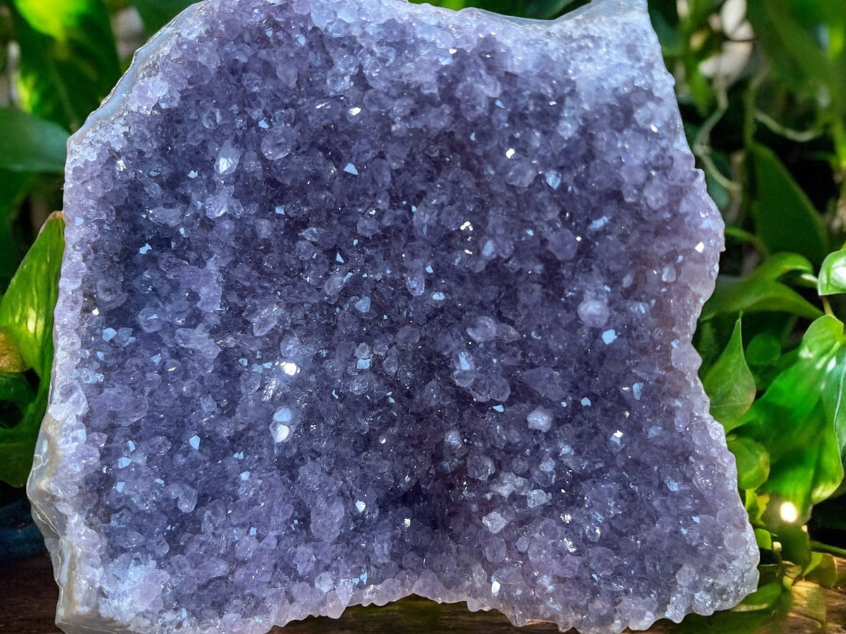 Amethist Cluster op Standvlak – 850 gram